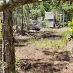 X-Plex Paintball and Airsoft Gallery Image