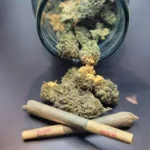 Deep South State of Mind Coupons Gallery Image