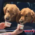 Whit’s Frozen Custard Coupons Gallery Image