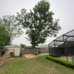 All American Tree Specialist Gallery Image