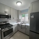 Remoluxe USA Coupons Gallery Image