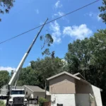 All American Tree Specialist Gallery Image