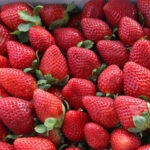 Strawberry Fest in Green Cove Springs Gallery Image