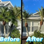 James Lawn Service Coupons Gallery Image