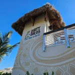 Dirty Birds Tiki Bar Coupons Gallery Image