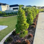 Orlandoscape & Pavers Coupons Gallery Image