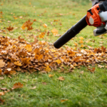 Yard Masters Landscaping Coupons Gallery Image