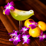 The Alibi Coupons Gallery Image